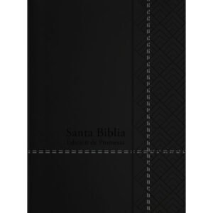 bibliadepromesanegra1