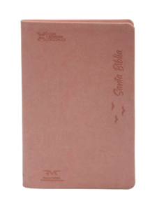 Biblia RVR Contemporánea Negro Gris, Canto Plateado