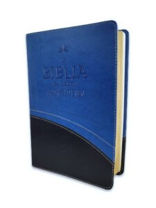 Biblia RVR60 Azul En Orden Cronológico