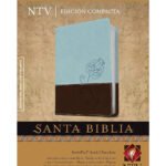Biblia Edición Compacta NTV Letra grande Azul-Chocolate – imagen 2