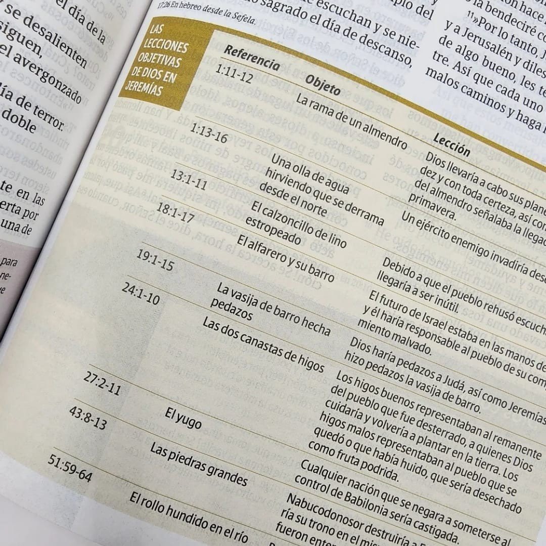 Biblia NTV de Estudio Diario Vivir para Jóvenes 3 Biblia NTV de Estudio Diario Vivir para Jóvenes - Image 3