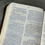 Biblia TLA 66LGZT Vive la Palabra – imagen 3