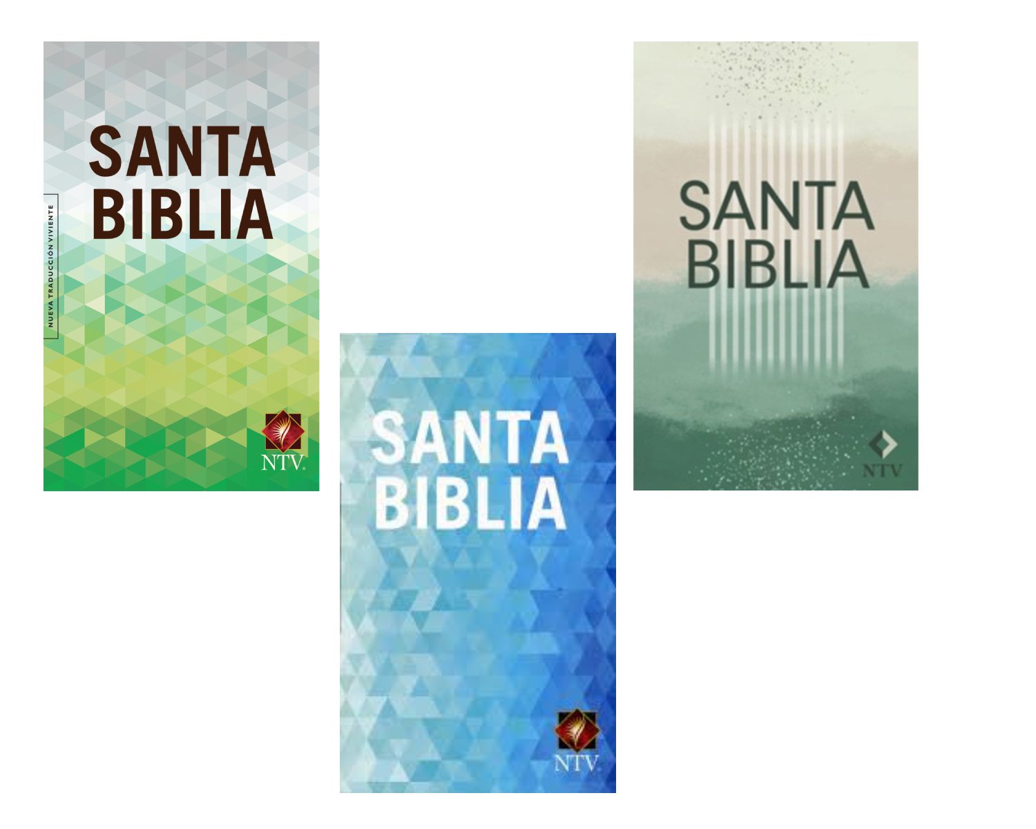 Biblia NTV Económica Misionera 1 Biblia NTV Económica Misionera