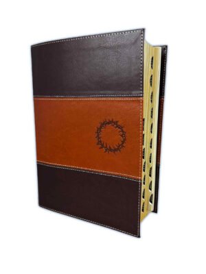 Biblia Diario Vivir De Estudio Letra Grande