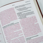 Biblia Filament Ultrafina NTV / Cafe Imitacion Piel – imagen 3