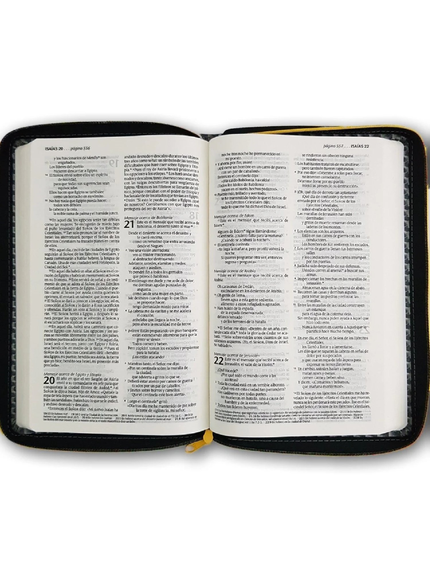 Biblia NTV Hombre Edición Zipper Gris 3 Biblia NTV Hombre Edición Zipper Gris - Image 3