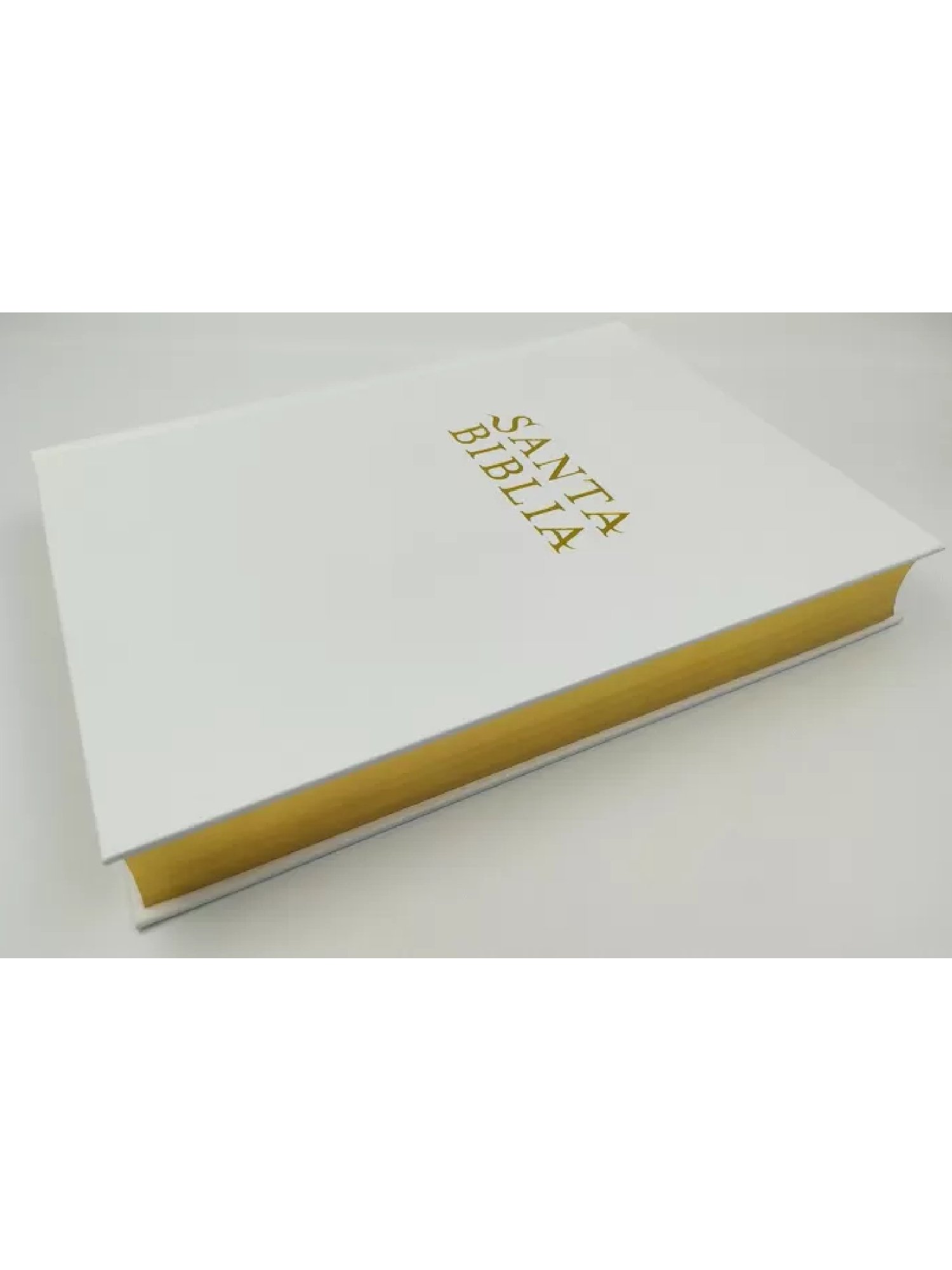 Biblia NTV Edición Letra Super Gigante Marfil 1 Biblia NTV Edición Letra Super Gigante Marfil