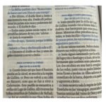 Biblia TLA Valiosa Letra Grande Verde Menta Canto Plateado – imagen 2