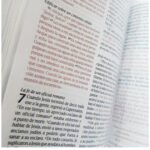 NTV Biblia edición compacta letra grande Apocalipsis/Tyndale – imagen 3