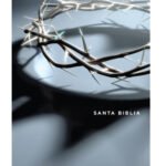 NTV Biblia edición compacta letra grande Apocalipsis/Tyndale – imagen 2