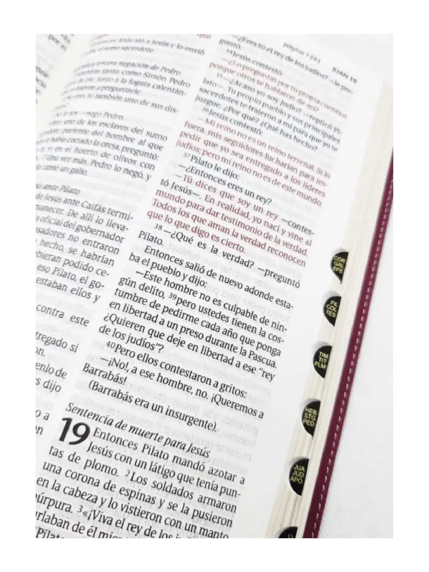 Biblia NTV Letra Grande Jardín Morado Índice 4 Biblia NTV Letra Grande Jardín Morado Índice - Image 4