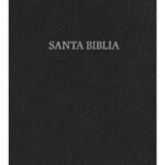 Biblia NVI Letra Super Gigante Negra