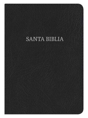 Biblia NVI Letra Super Gigante Negra