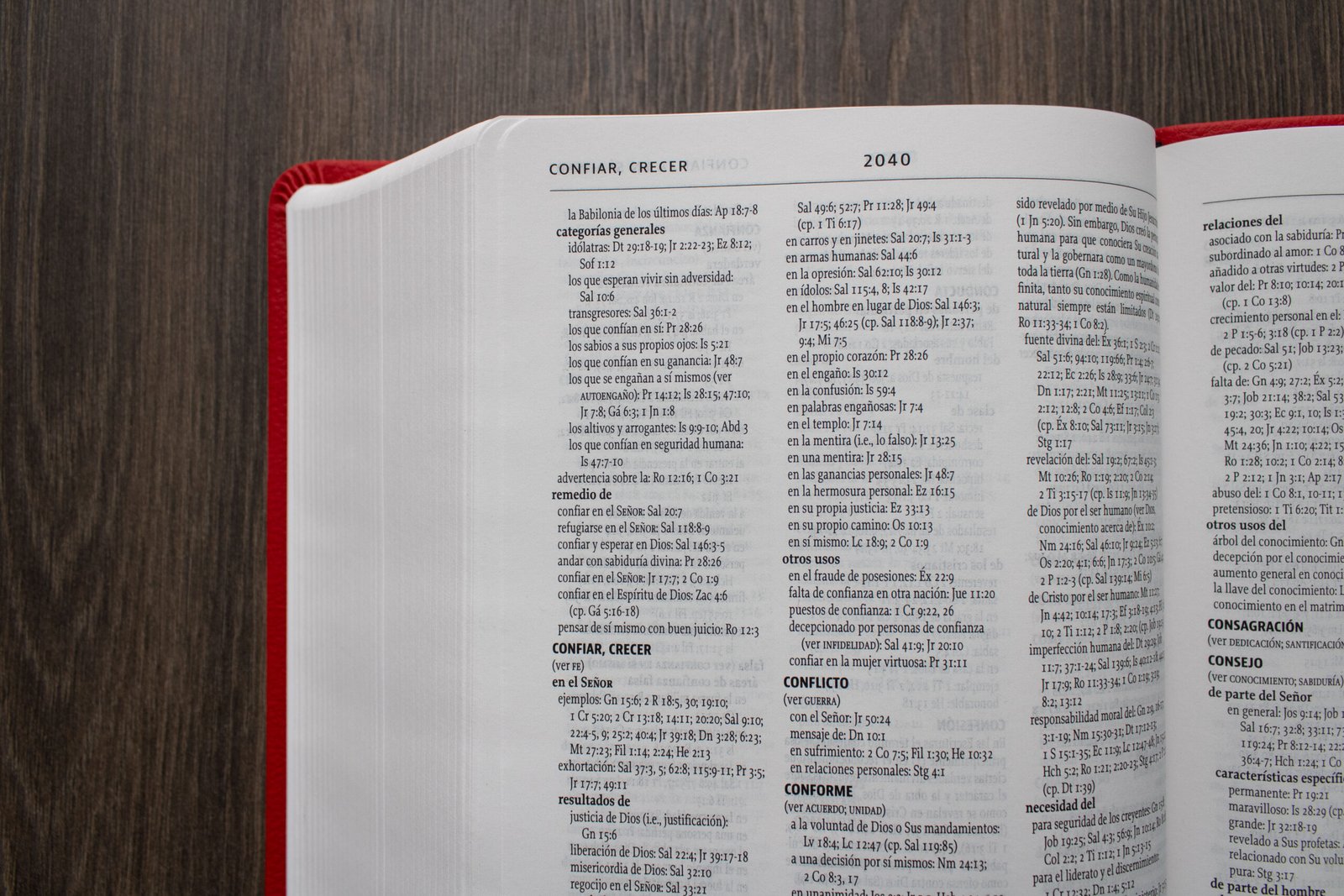 Biblia De La Reforma NBLA Lavanda 3 Biblia De La Reforma NBLA Lavanda - Image 3