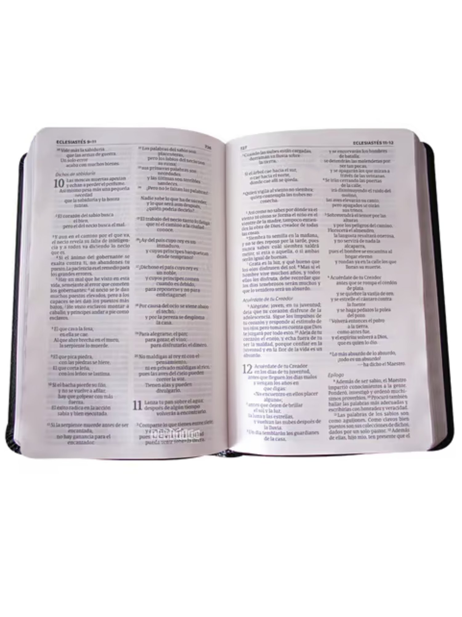 Biblia NVI Compacta Negro Letra Grande Piel Fabricada 4 Biblia NVI Compacta Negro Letra Grande Piel Fabricada - Image 4