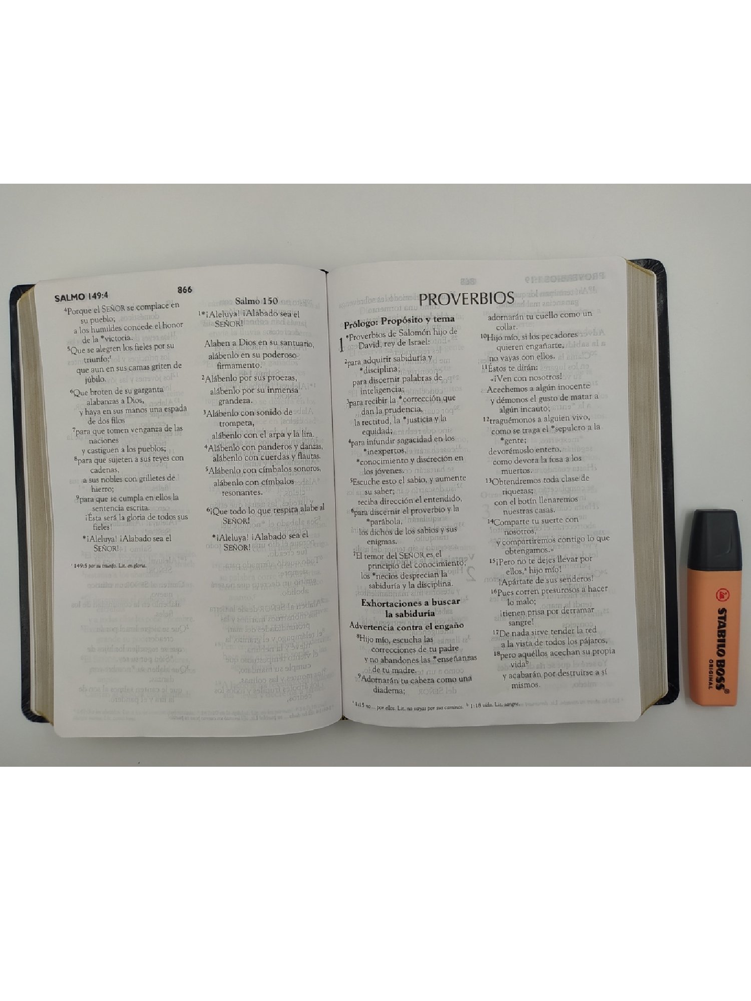 Biblia NVI Letra Gigante Negra 6 Biblia NVI Letra Gigante Negra - Image 6