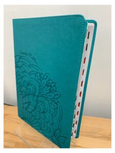 Biblia NVI Tamaño Manual Aguamarina Con Índice