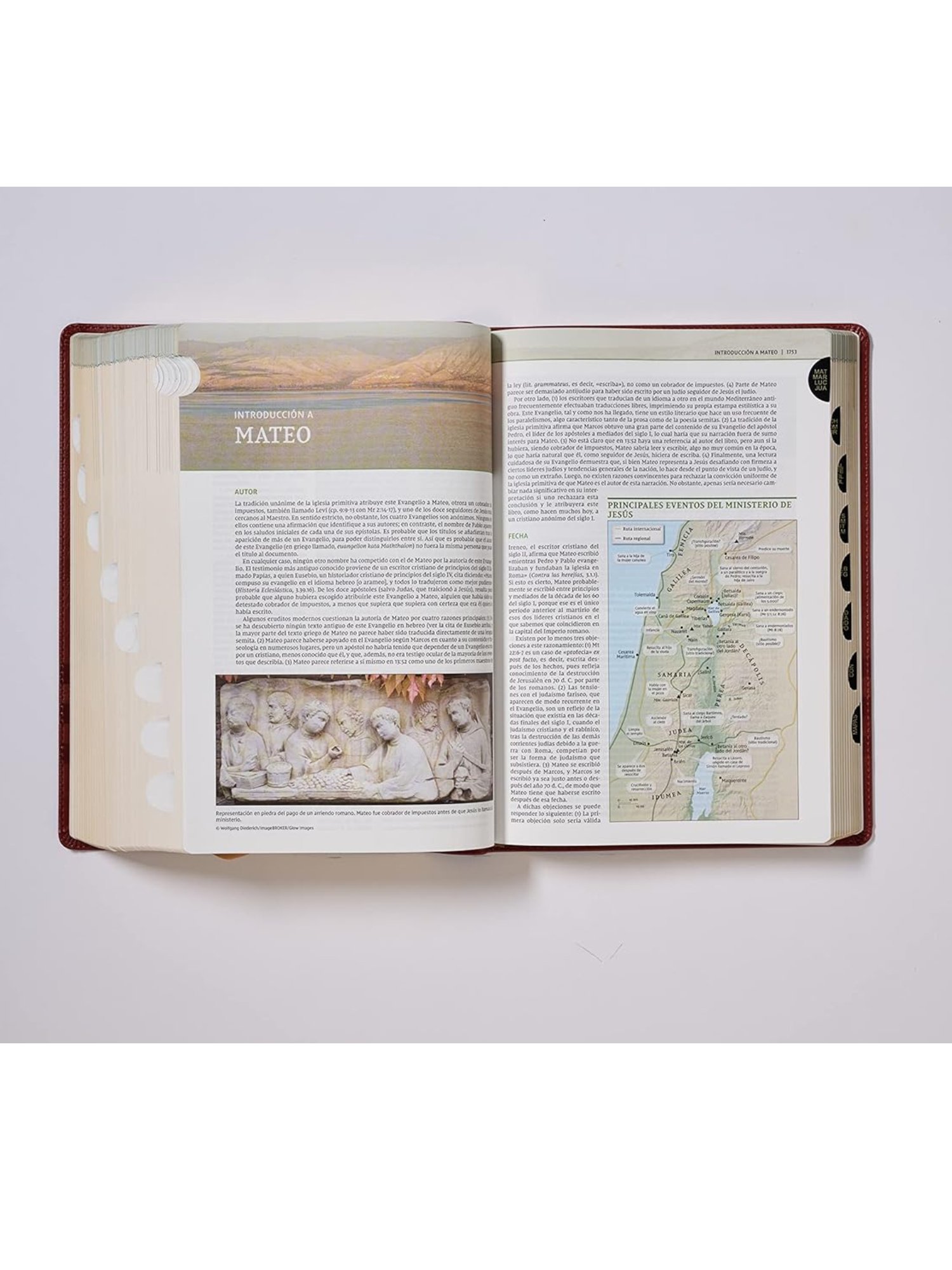 Biblia De Estudio NVI/Teologia Biblica/Leathersoft/Cafe 3 Biblia De Estudio NVI/Teologia Biblica/Leathersoft/Cafe - Image 3