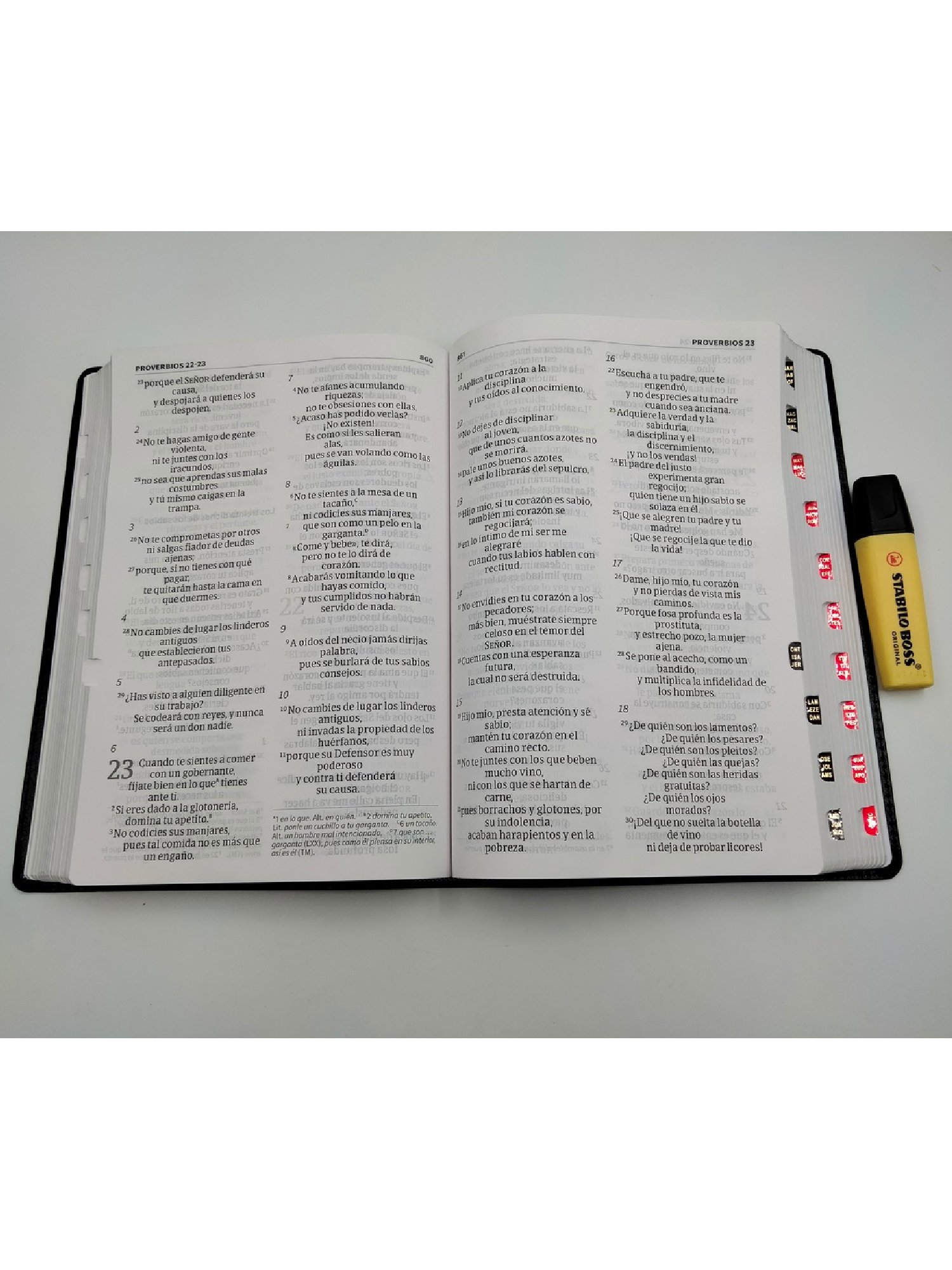 Biblia NVI Letra Super Gigante Negra Índice 3 Biblia NVI Letra Super Gigante Negra Índice - Image 3