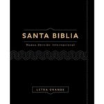 Biblia NVI Cuero Italiano Negra