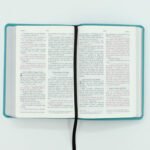 NVI Biblia 040 CLG Turquesa Zipper – imagen 2