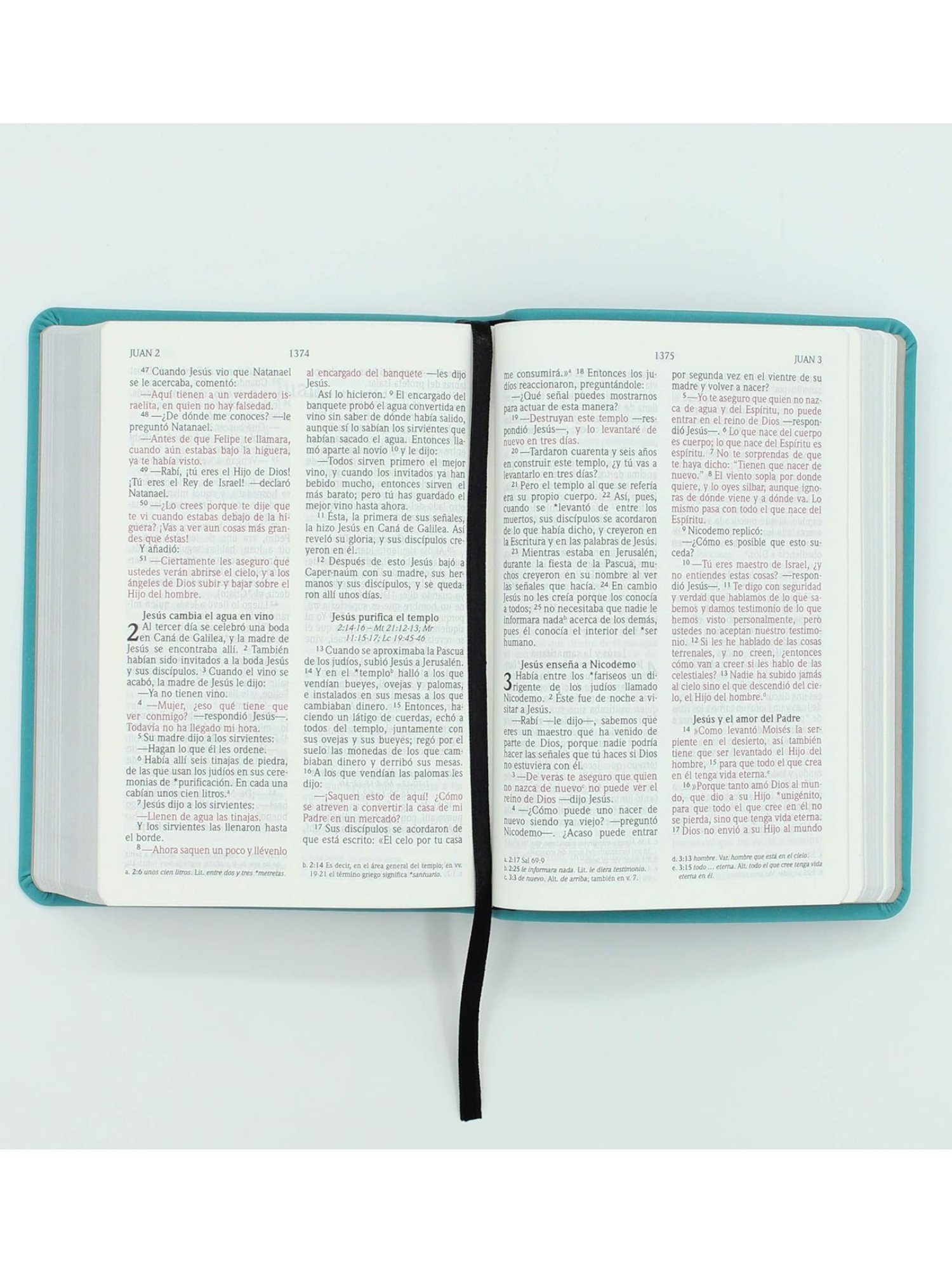 NVI Biblia 040 CLG Turquesa Zipper 2 NVI Biblia 040 CLG Turquesa Zipper - Image 2
