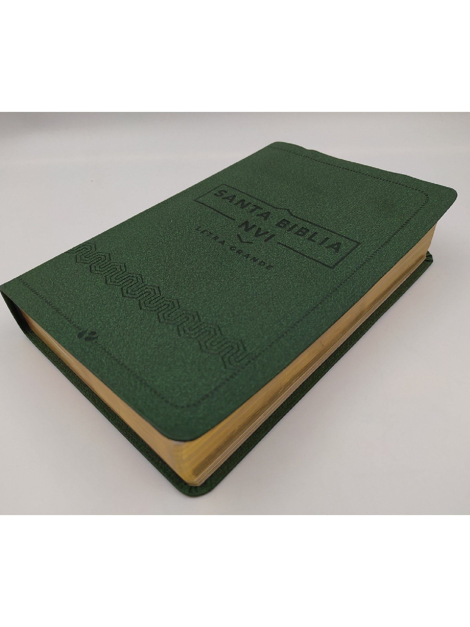 Biblia NVI Cuero Italiano Verde 2 Biblia NVI Cuero Italiano Verde - Image 2