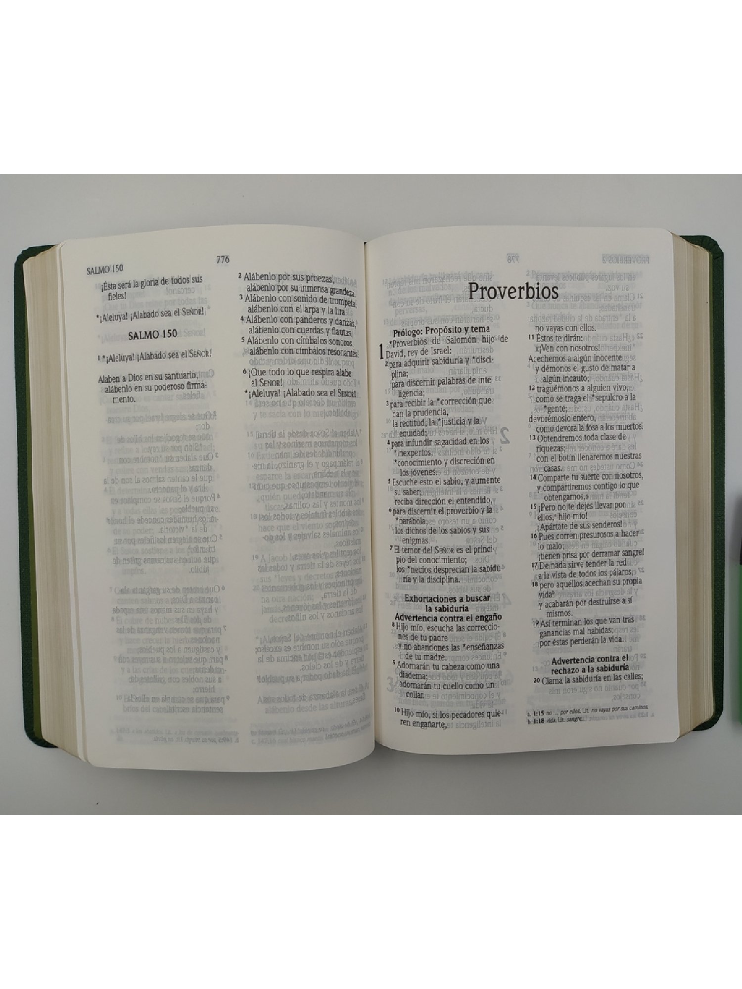 Biblia NVI Cuero Italiano Verde 4 Biblia NVI Cuero Italiano Verde - Image 4