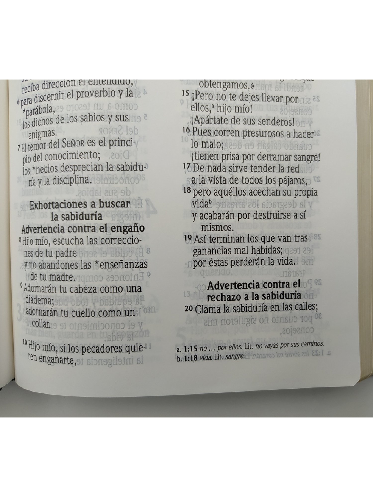 Biblia NVI Cuero Italiano Verde 5 Biblia NVI Cuero Italiano Verde - Image 5