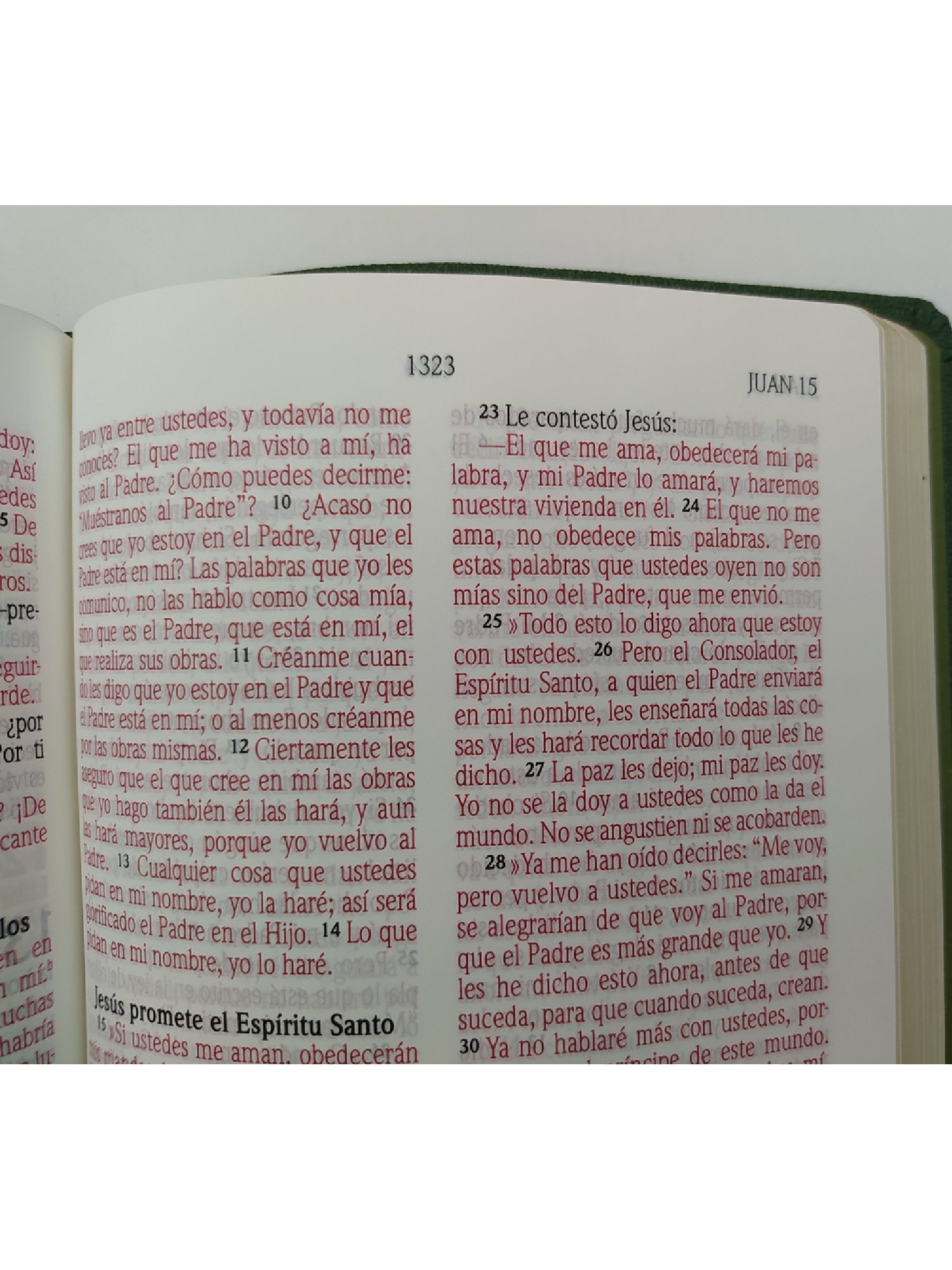 Biblia NVI Cuero Italiano Verde 6 Biblia NVI Cuero Italiano Verde - Image 6