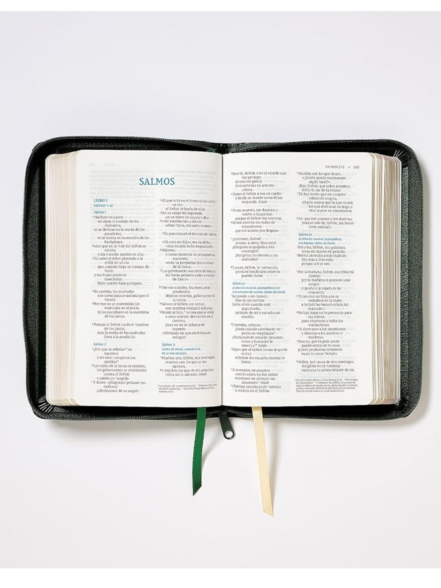 Biblia NVI Compacta Texto Revisado 2022 Piel Reciclada Verde Con Cierre 3 Biblia NVI Compacta Texto Revisado 2022 Piel Reciclada Verde Con Cierre - Image 3