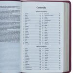 NVI Biblia ultrafina Tipo agenda vino – imagen 2