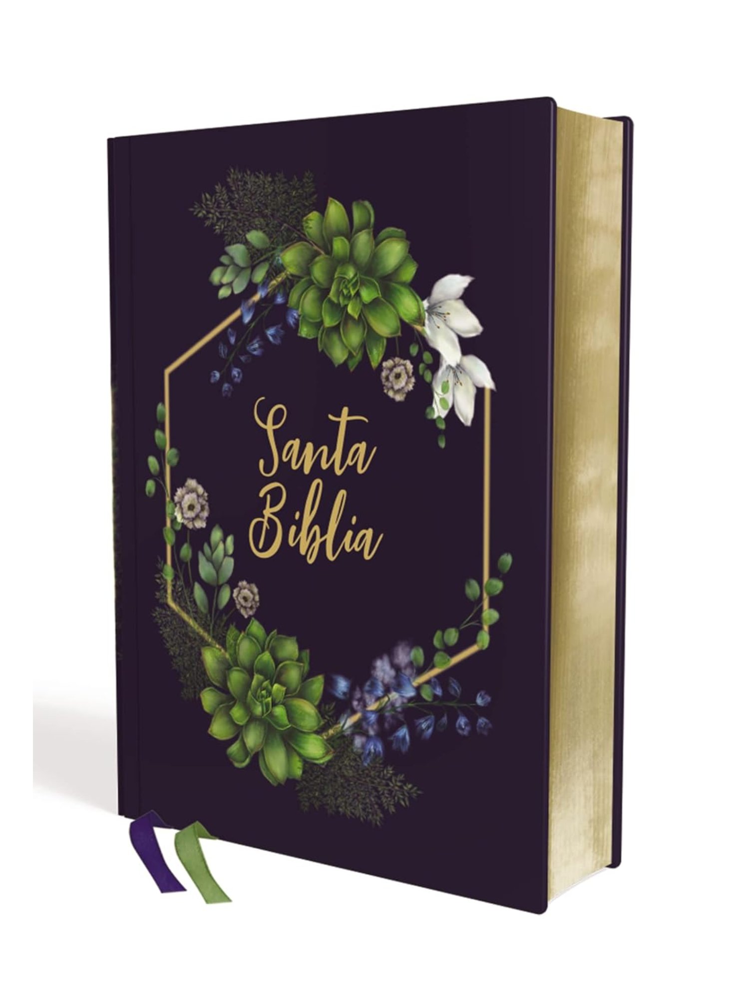 NVI Santa Biblia Edición Artística Tapa Dura/Tela 1 Biblia NVI Revisión 2022, Edición Artística Tapa Dura