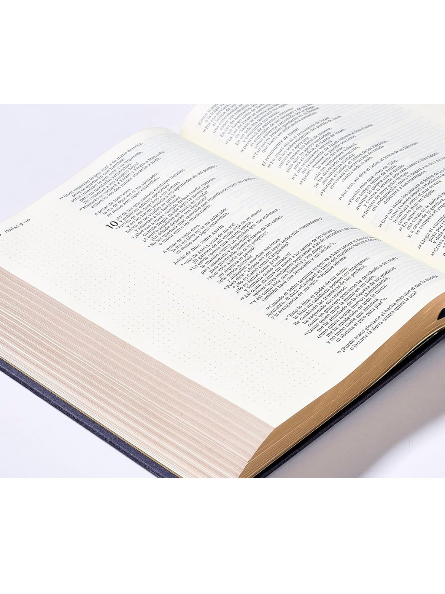 NVI Santa Biblia Edición Artística Tapa Dura/Tela 4 NVI Santa Biblia Edición Artística Tapa Dura/Tela - Image 4