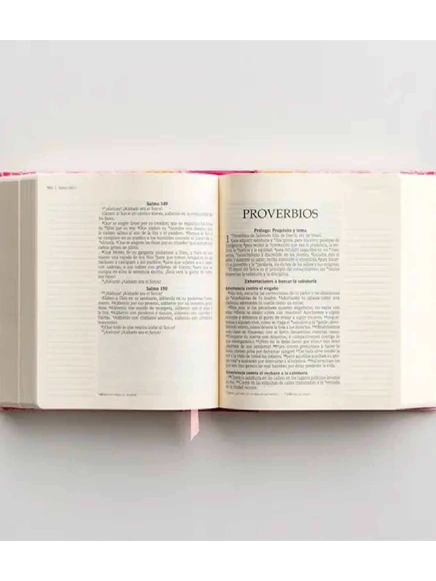 Biblia NVI Diario Personal Rosa 3 Biblia NVI Diario Personal Rosa - Image 3
