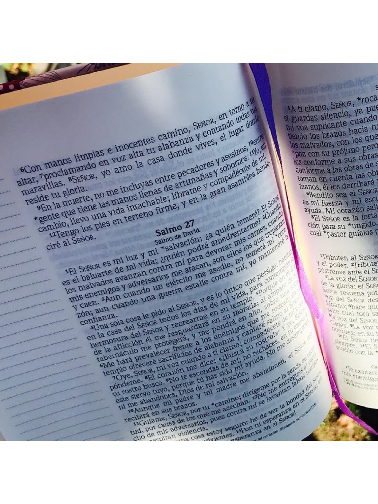 Biblia NVI Diario Personal Rosa 2 Biblia NVI Diario Personal Rosa - Image 2