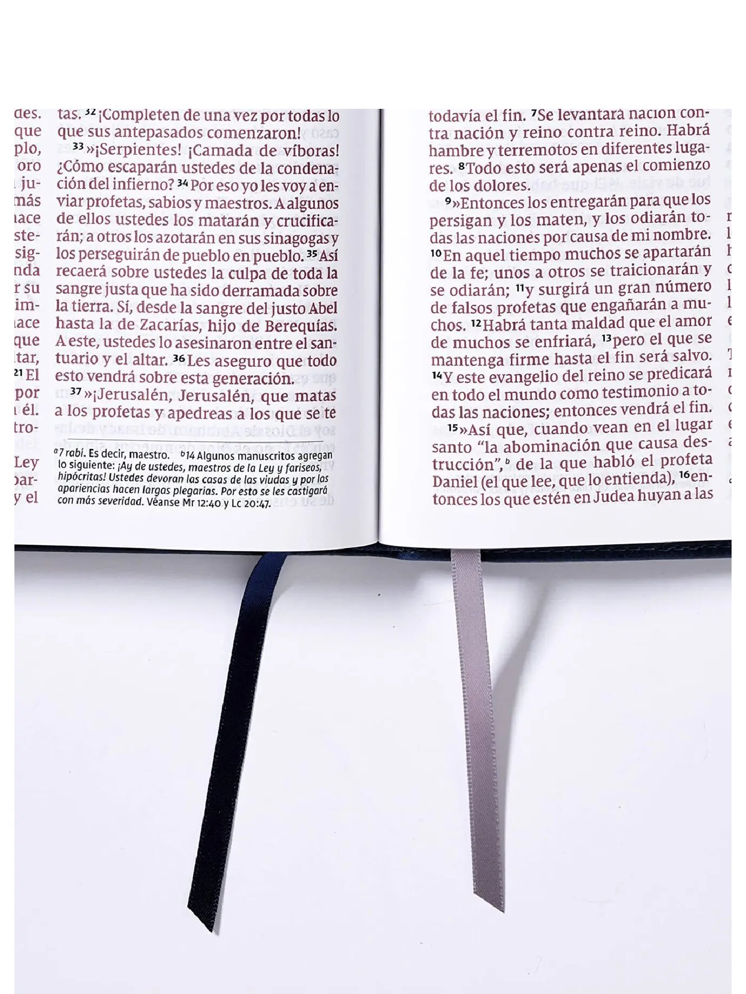 Biblia/NVI/Revisión 2022/Ultrafina/Letra Gigante/Imitación/Azul Marino/PJR 6 Biblia/NVI/Revisión 2022/Ultrafina/Letra Gigante/Imitación/Azul Marino/PJR - Image 6