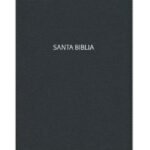 NVI Biblia de premios y regalos. Negra – imagen 2