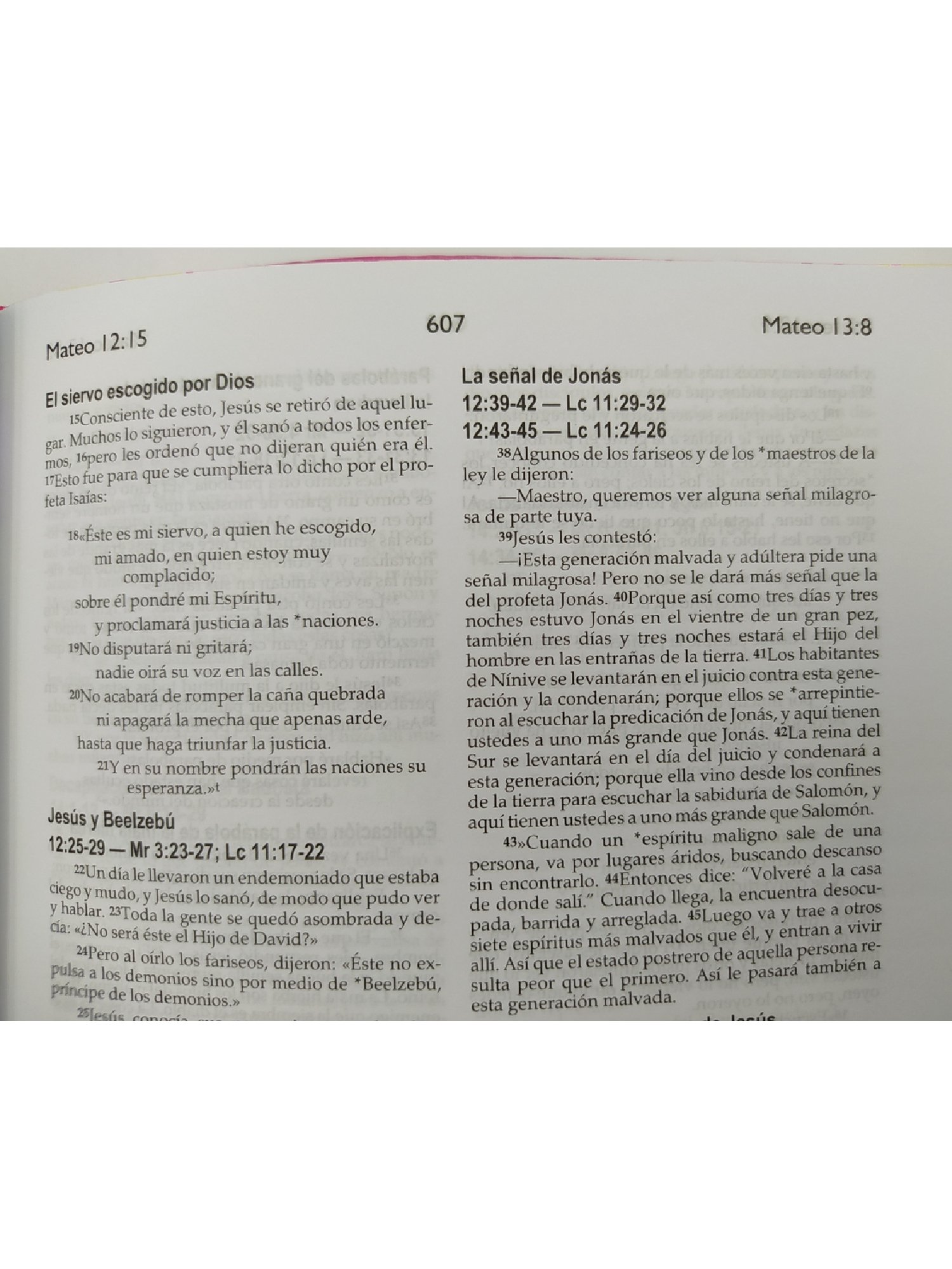 Biblia NVI De Regalo Dos Tonos Italiana Rosa 4 Biblia NVI De Regalo Dos Tonos Italiana Rosa - Image 4