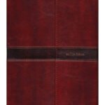 Biblia NVI Letra Gigante Marrón Con Imán