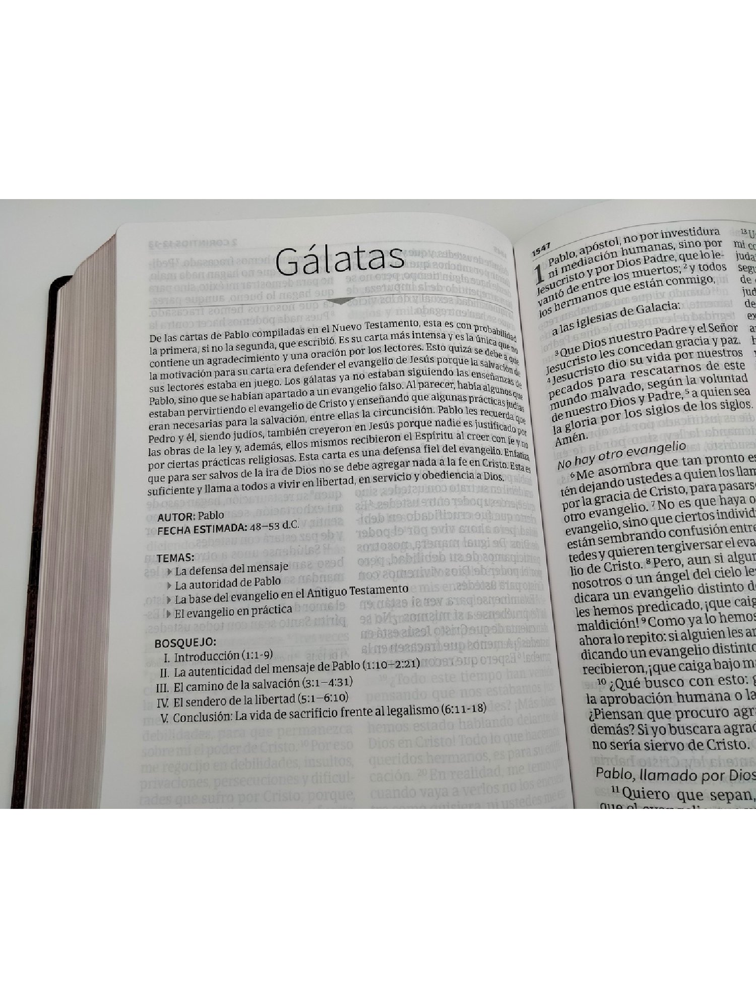 Biblia NVI Letra Super Gigante Marrón Con Imán 5 Biblia NVI Letra Super Gigante Marrón Con Imán