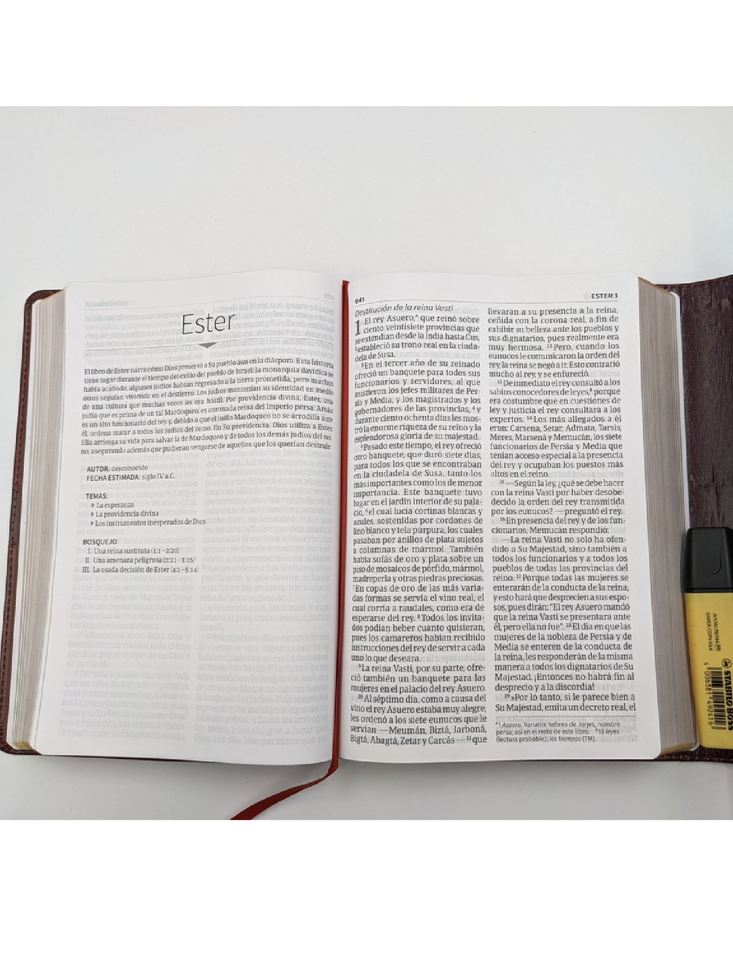 Biblia NVI Letra Gigante Marrón Con Imán 3 Biblia NVI Letra Gigante Marrón Con Imán - Image 3