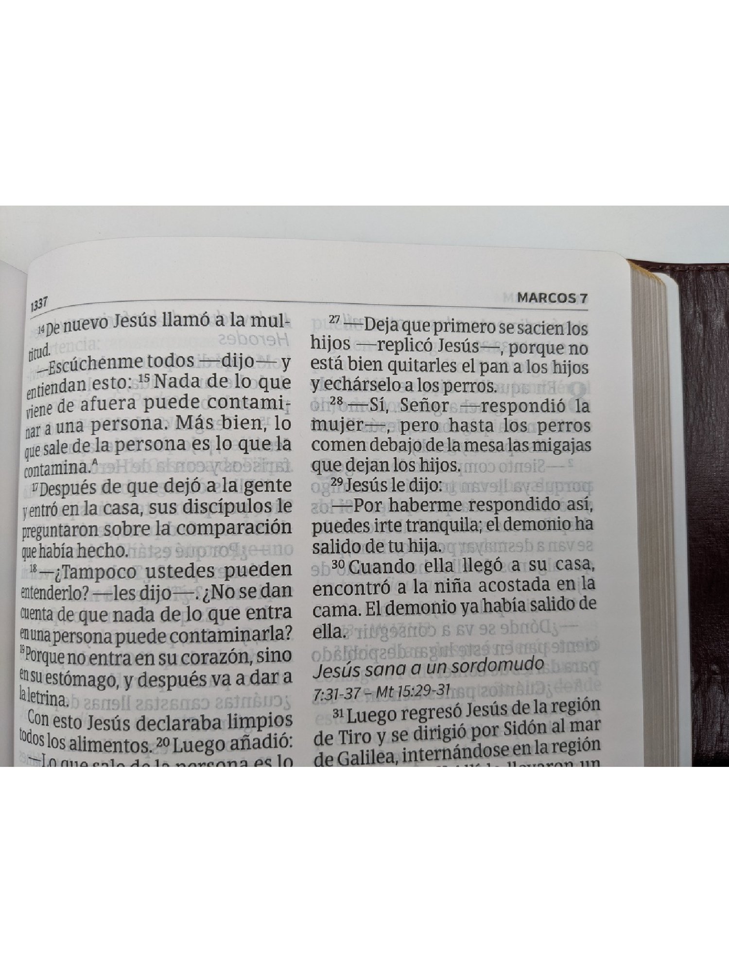 Biblia NVI Letra Gigante Marrón Con Imán 4 Biblia NVI Letra Gigante Marrón Con Imán - Image 4