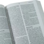 NVI/Manual/Letra Grande/Rústica/Multicolor – imagen 3