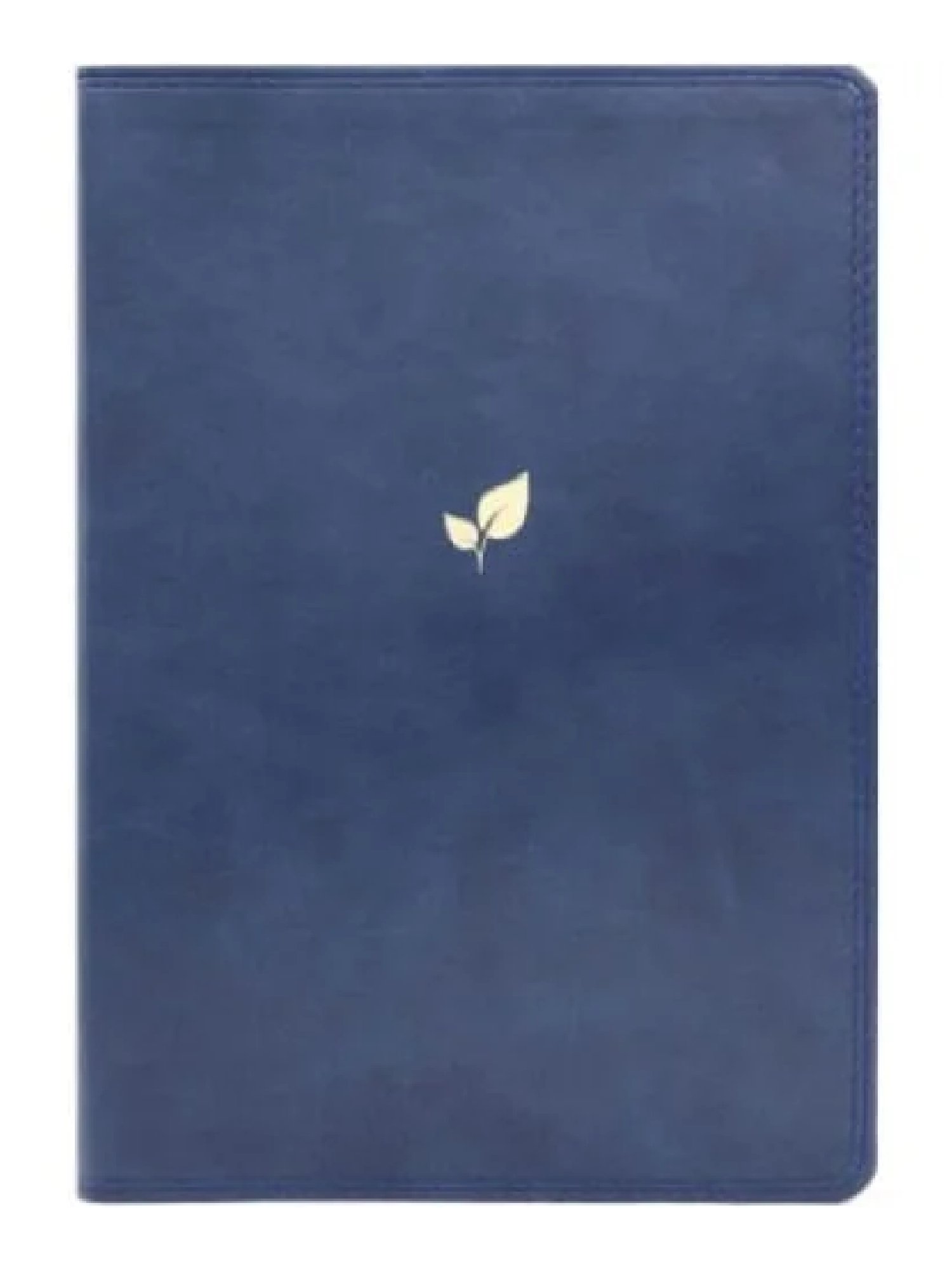 Biblia NVI Max Lucado Piel Azul 3 Biblia NVI Max Lucado Piel Azul - Image 3