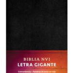 Biblia NVI Letra Gigante, Negro