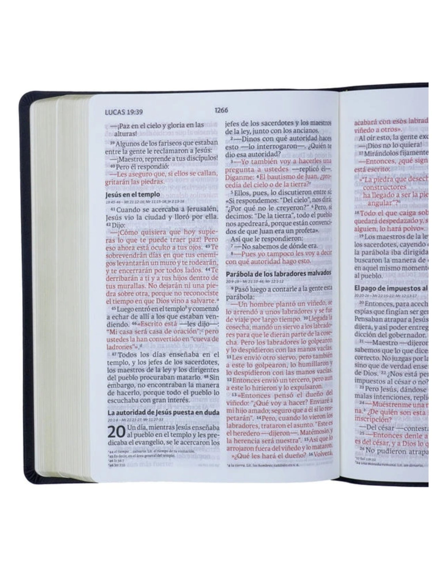 Biblia NVI Letra Gigante, Negro 2 Biblia NVI Letra Gigante, Negro - Image 2