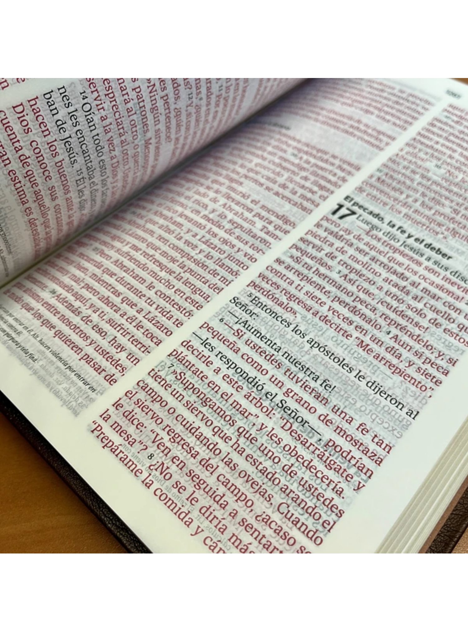 Biblia NVI Letra Gigante, Marrón 4 Biblia NVI Letra Gigante, Marrón - Image 4