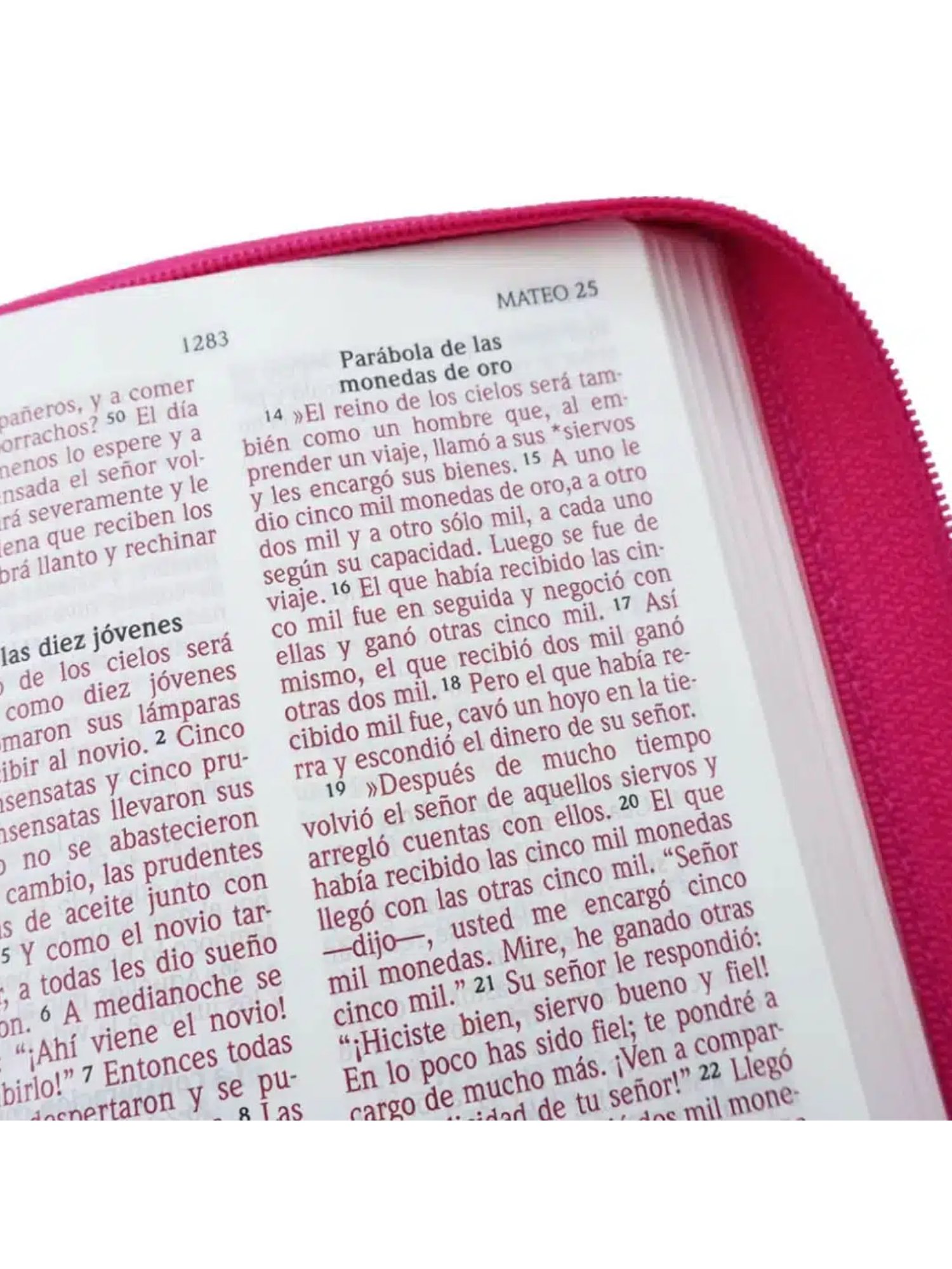 Biblia NVI 040CLG Letra Grande Tamaño Mediano Con Cierre, Fucsia 4 Biblia NVI 040CLG Letra Grande Tamaño Mediano Con Cierre, Fucsia - Image 4