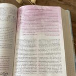 Biblia de la Mujer Conforme al Corazón de Dios RVR 1960 – Pétalos – imagen 5